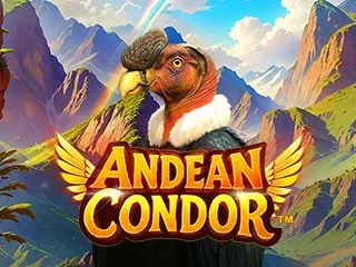 Andean Condor